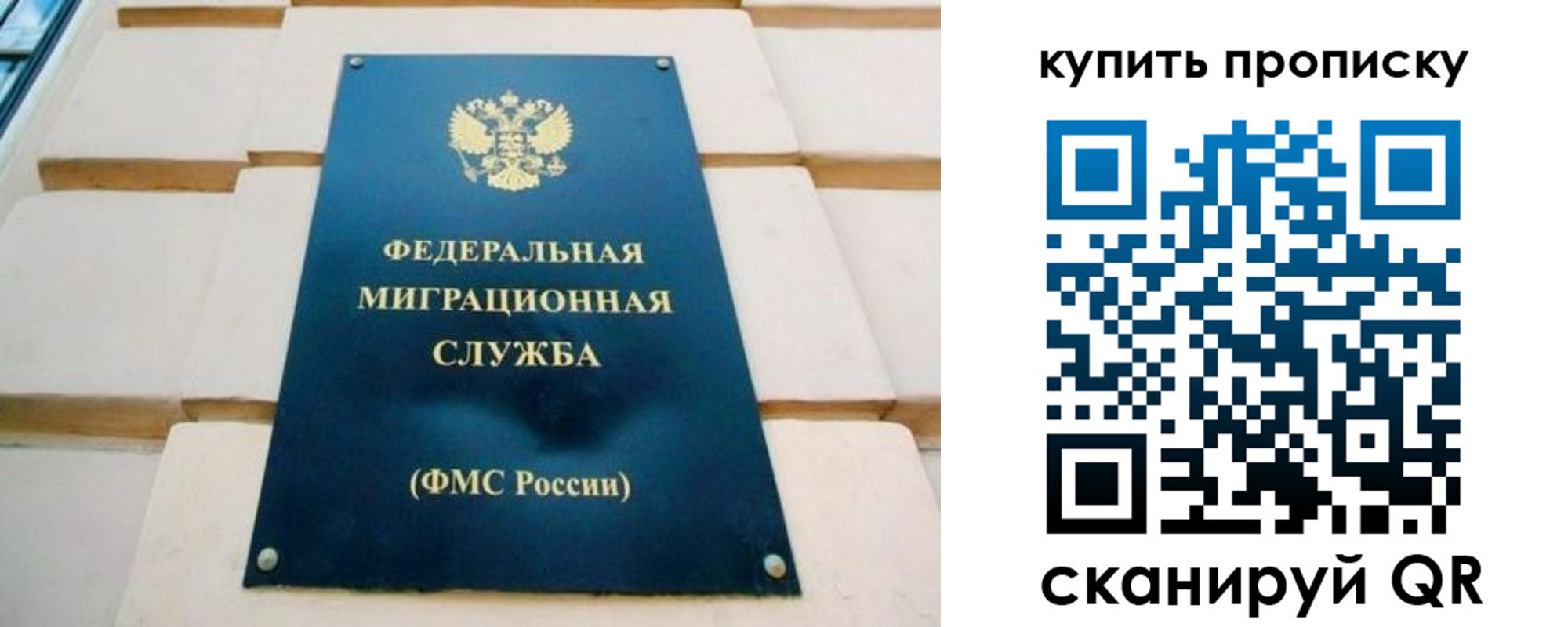 прописка в Курчатове